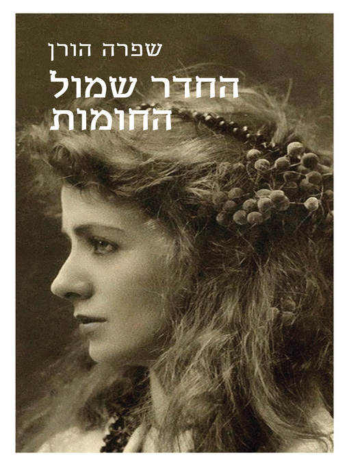 Cover of החדר שממול החומות (O Daughters of Jerusalem)